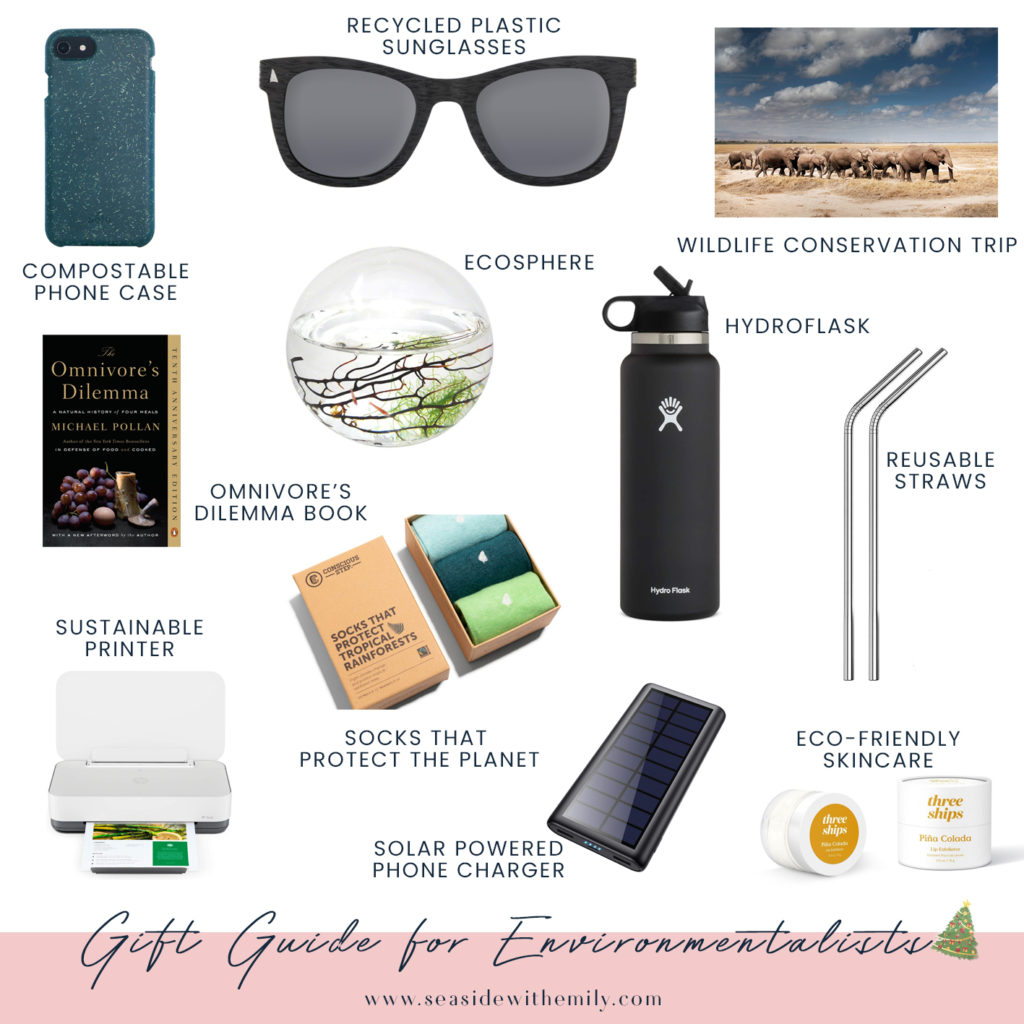 Holiday Gift Guide for Environmentalists Seaside with Emily