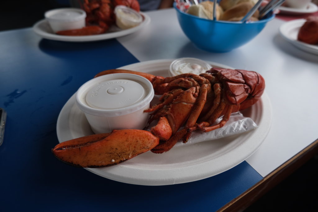 shediac lobster boat tour