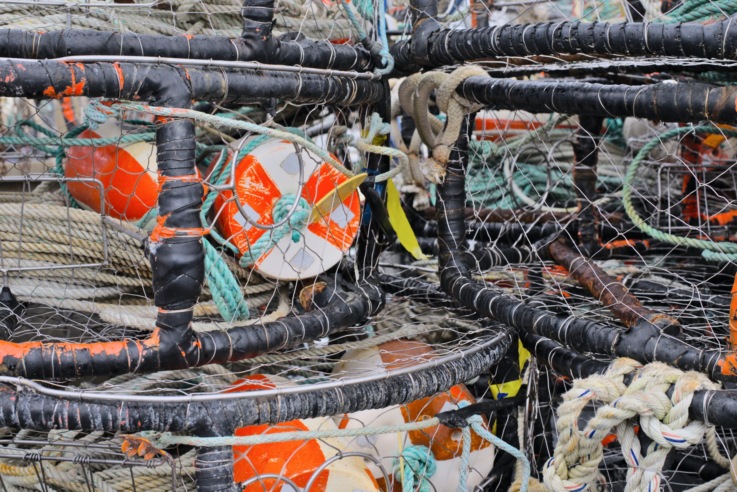 Report: Half of MSC-certified 'sustainable' tuna caught with controversial  gear