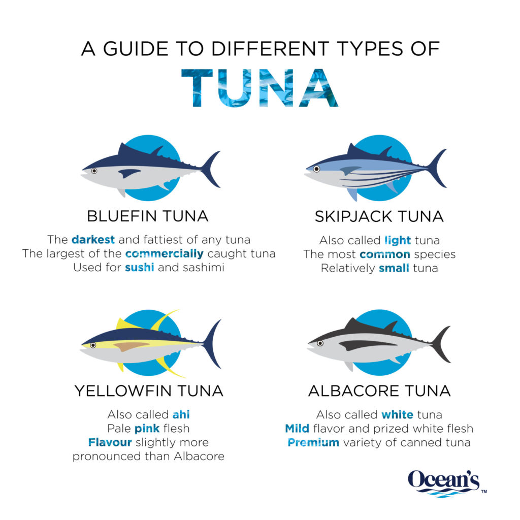 Talking Tuna: How they're caught, how stocks are managed, and what species  to look for - Seaside with Emily
