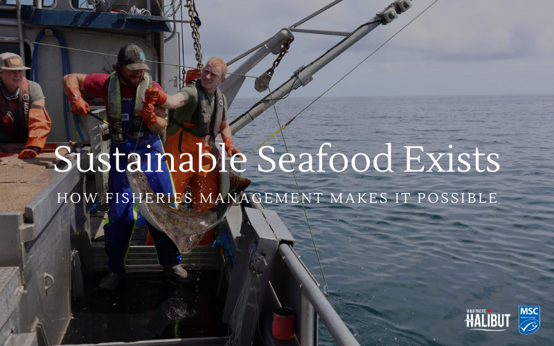 Sustainable Seafood Exists: How Fisheries Management Makes it